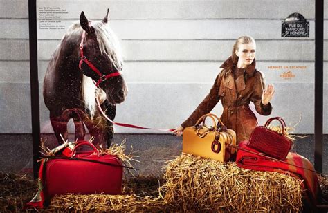 hermes equestrian instagram|Hermès 101: Origins, Equestrians, and Aristocrats .